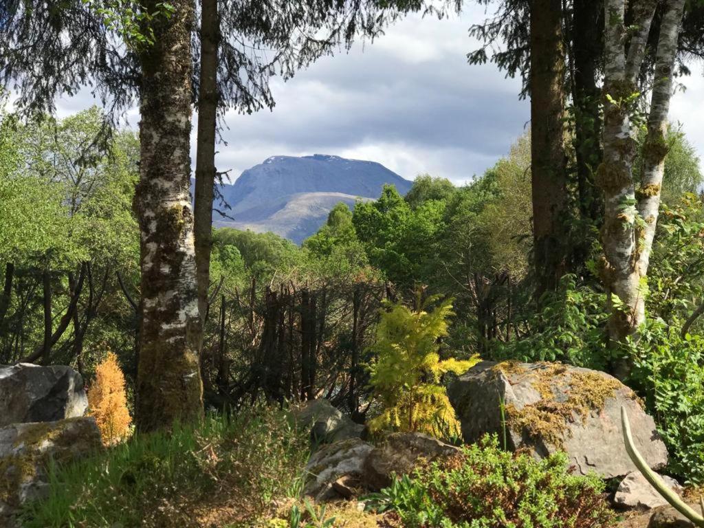 Tom Beag - Ben Nevis View Rooms Fort William Dış mekan fotoğraf
