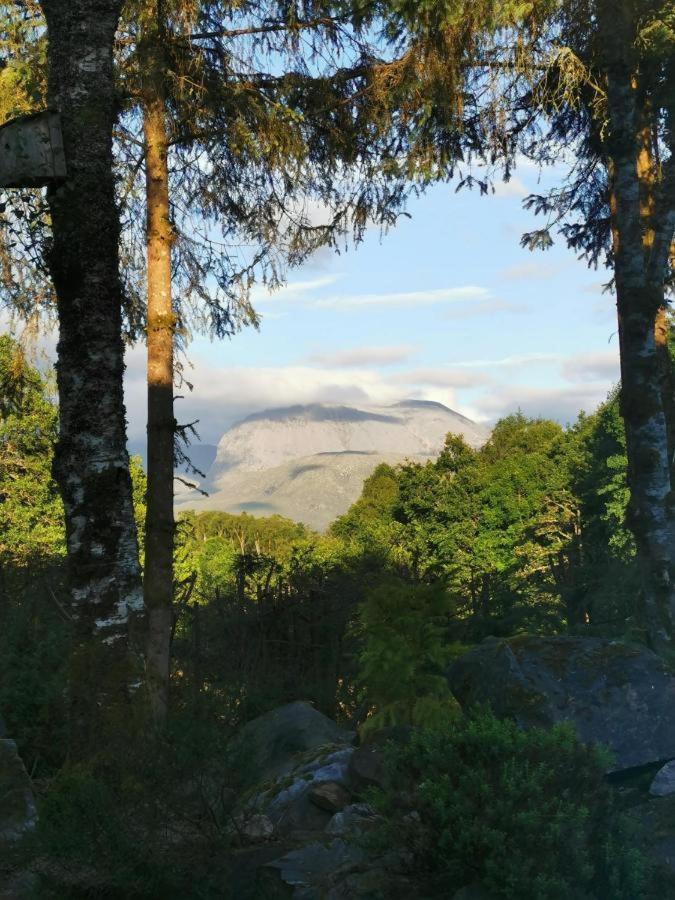 Tom Beag - Ben Nevis View Rooms Fort William Dış mekan fotoğraf